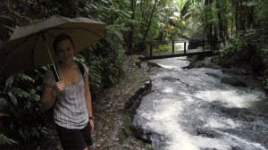 Jag vandrar med paraply genom regnskogen